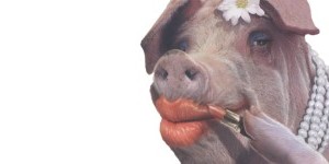 Un maiale col rossetto