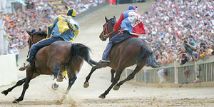 Il palio di Siena, la corsa dei cavalli