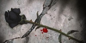 Rosa nel sangue