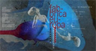 logo manifestazione