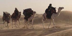 Queen of The Desert