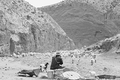 Un'immagine del film