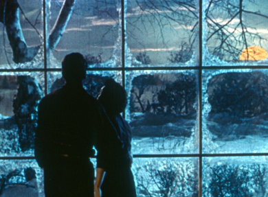 All That Heaven Allows, Douglas Sirk (1955)