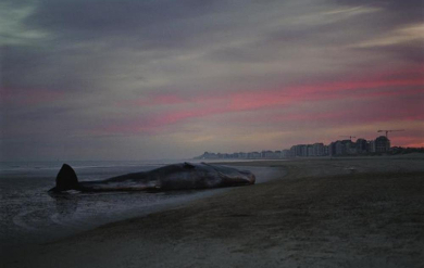 Una scena del film