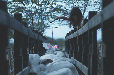 Una scena del film