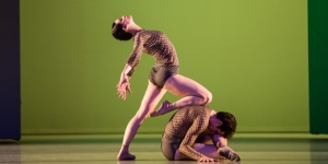 L�Anatomie de la sensation pour Francis Bacon    