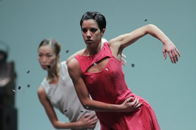 � foto Anceschi