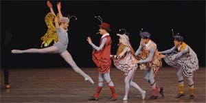 All Robbins (foto di Paul Kolnik)