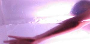 Perspective mostra collettiva di video arte Roma, febbraio 2003