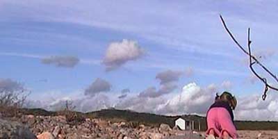 Caterina Notte, Domus de Janas, (2003)