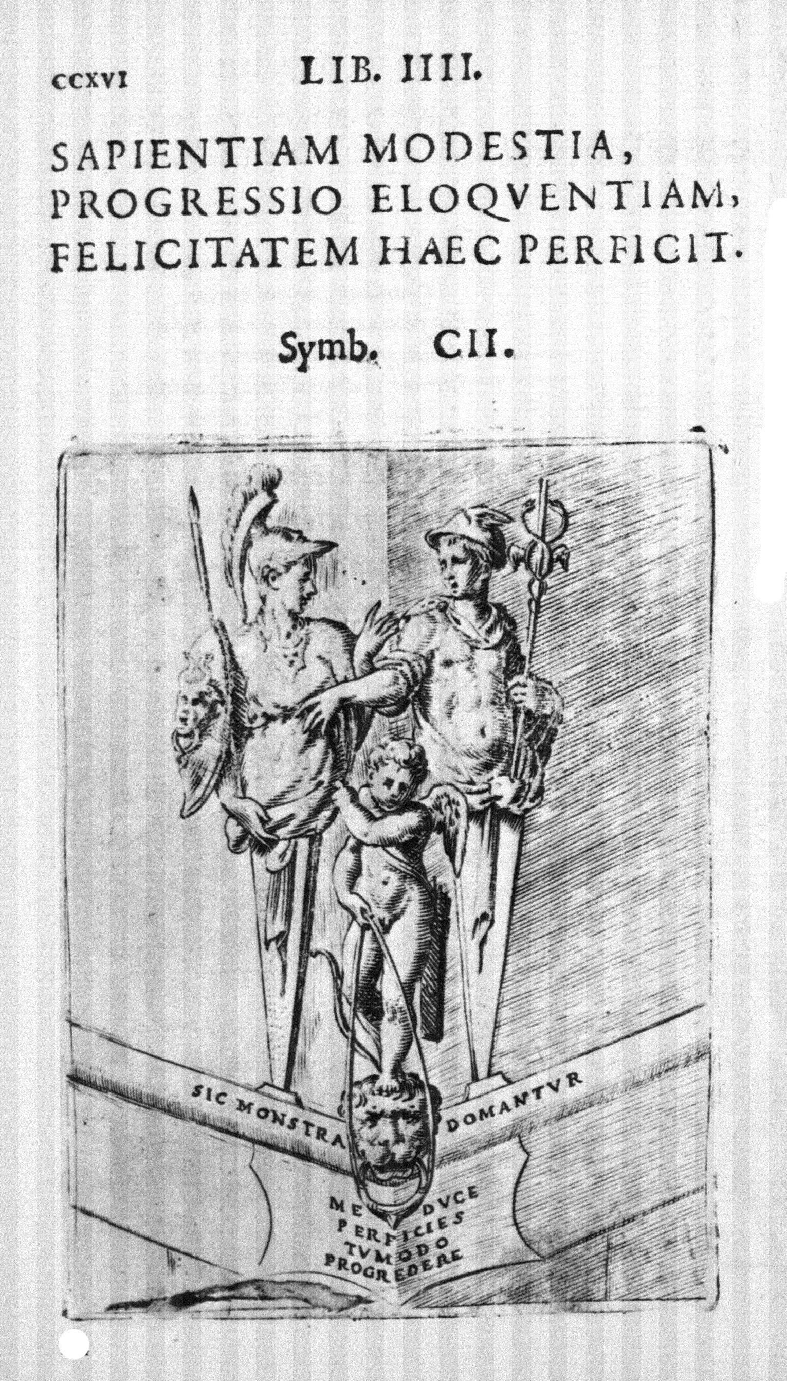 Fig. 06.jpg