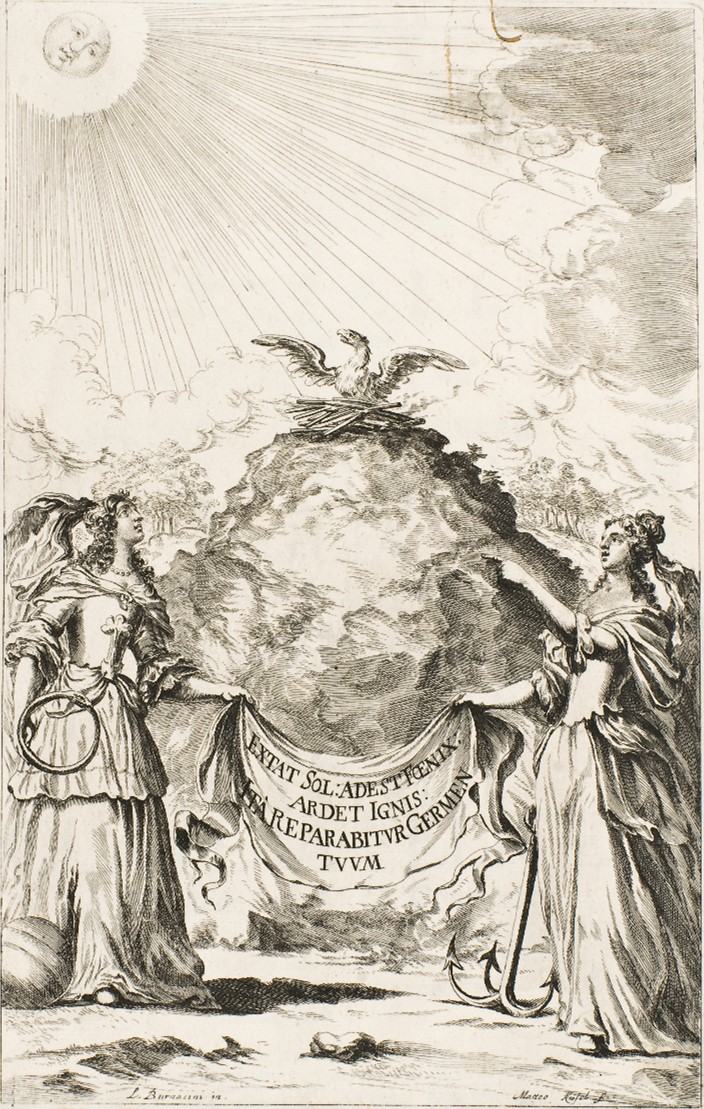 Fig27.jpg