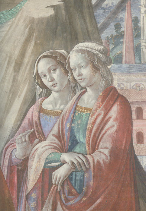 venere_24.jpg