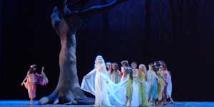 A midsummer night's dream